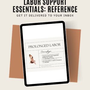 Labor Support Essentials: A Homeopathic Reference